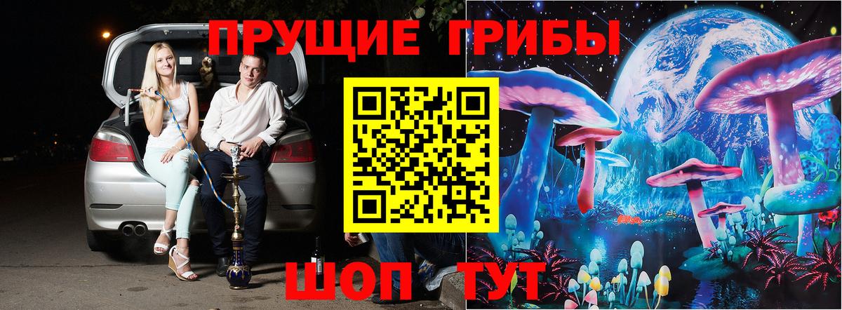 Псилоцибиновые грибы Psilocybe  Вход с VPN  Домодедово 